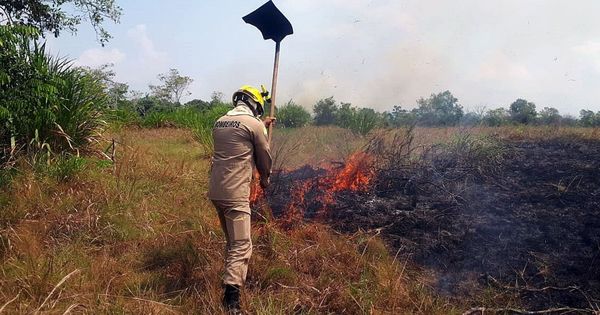 Foto: Bomberos del Estado de Acre trabajando en la extinción del incendio en la selva amazónica. (EFE)