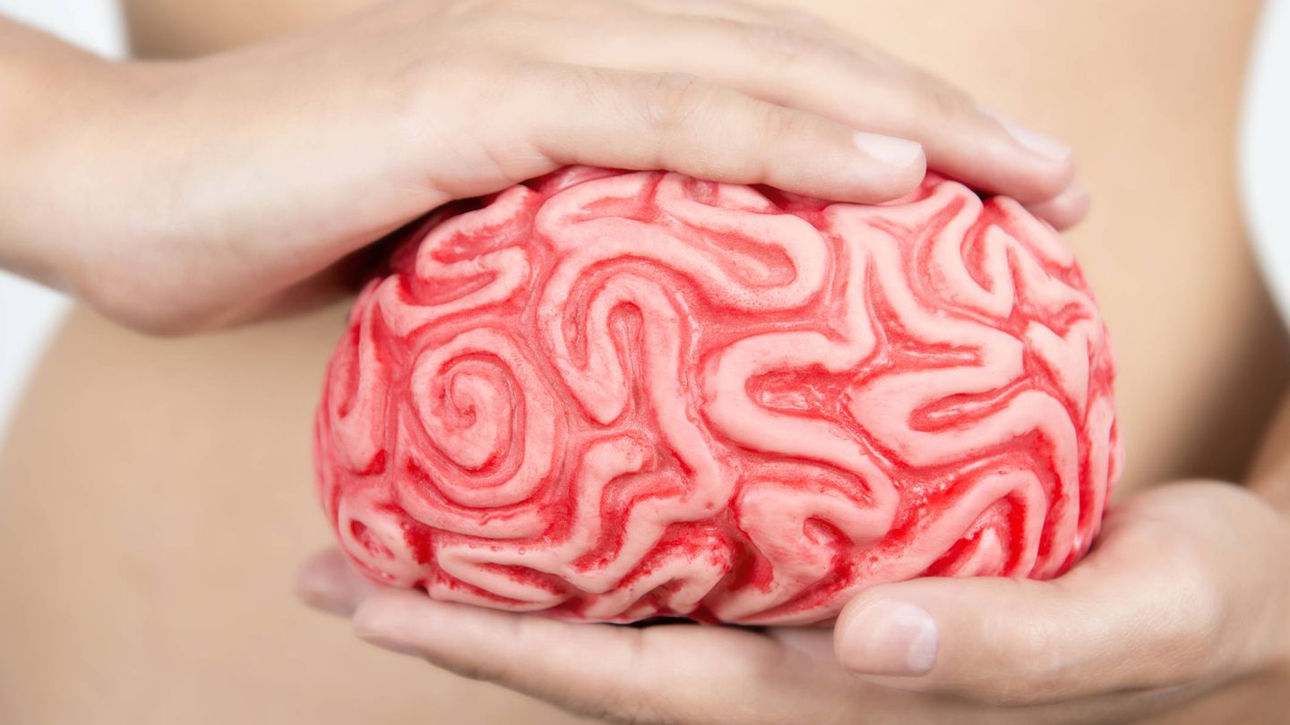 El cerebro es fascinante (Foto: iStock)
