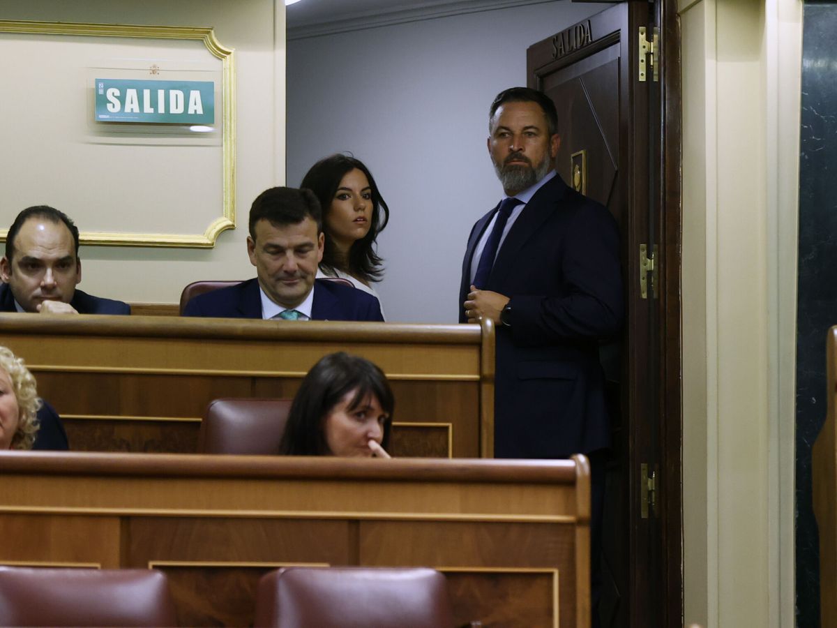 Foto: El líder de Vox, Santiago Abascal, junto a una puerta de salida del hemiciclo durante el primer pleno de la XV Legislatura. (EFE/Juan Carlos Hidalgo)