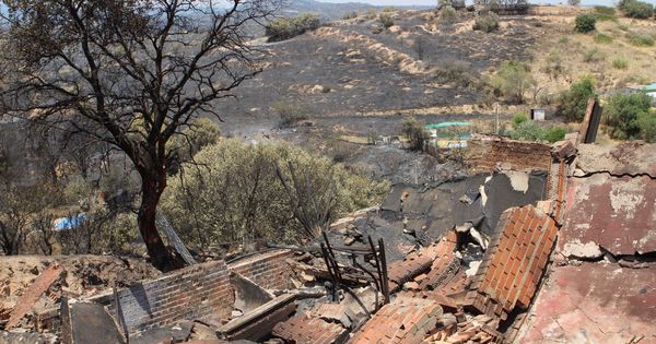 Foto: Los efectos del incendio que el pasado mes de junio y julio afectó a Toledo y Madrid