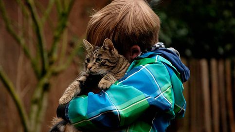 Los beneficios que tiene para los niños jugar con un gato
