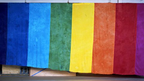 La bandera original del orgullo LGBTIQ, de vuelta a casa tras darse por perdida