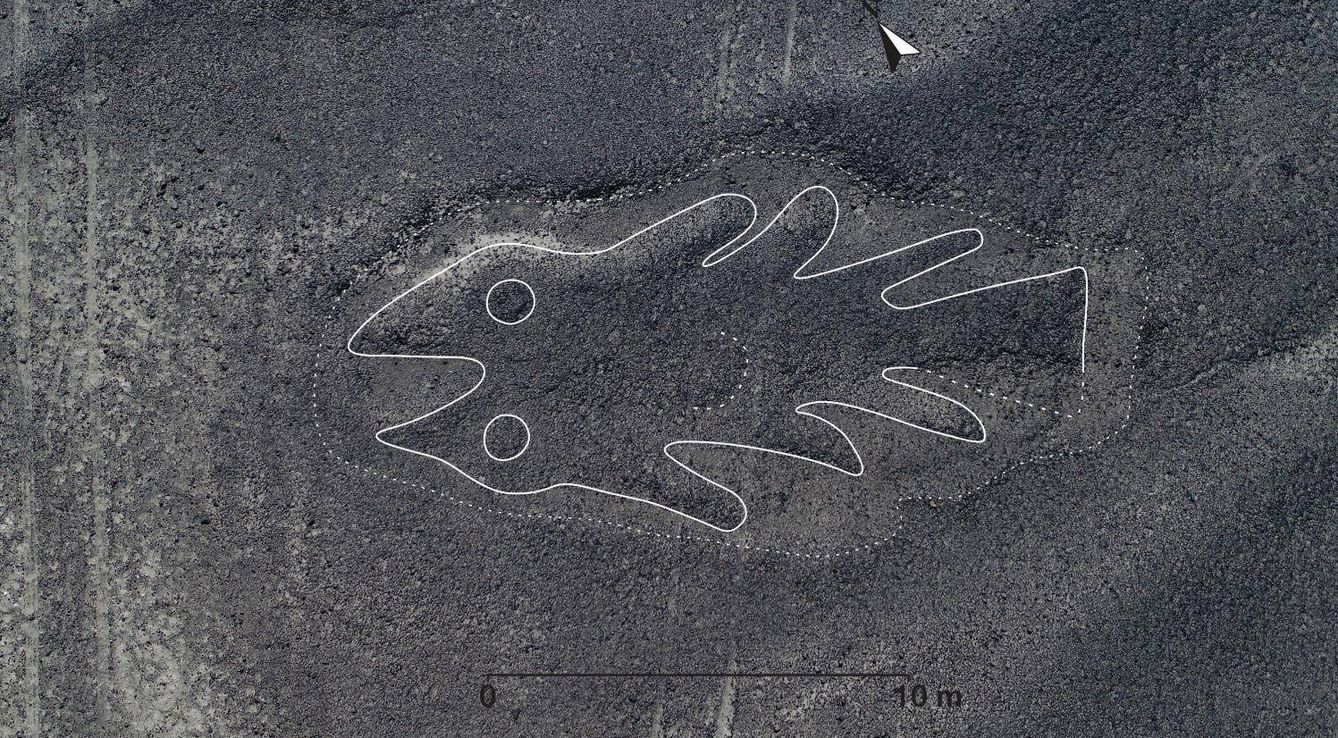Figura de un pez. (Universidad de Yagamata)