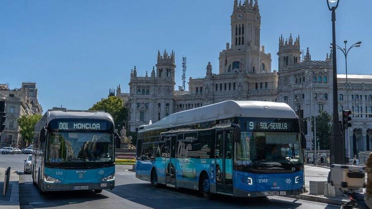 Más autobuses nocturnos de EMT en Madrid por el Orgullo LGTBIQ+: servicios y rutas afectadas