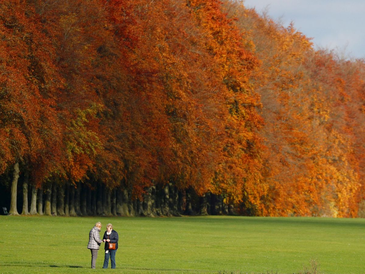 Foto: Parque de Tervuren, en Bruselas. (Reuters)