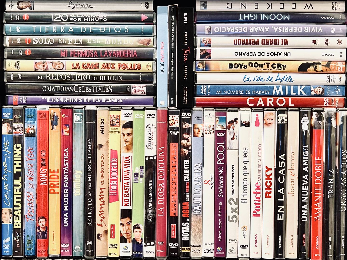 Biblioteca de mi casa con DVD’s. Balda LGTB. (Jaime M. de los Santos)