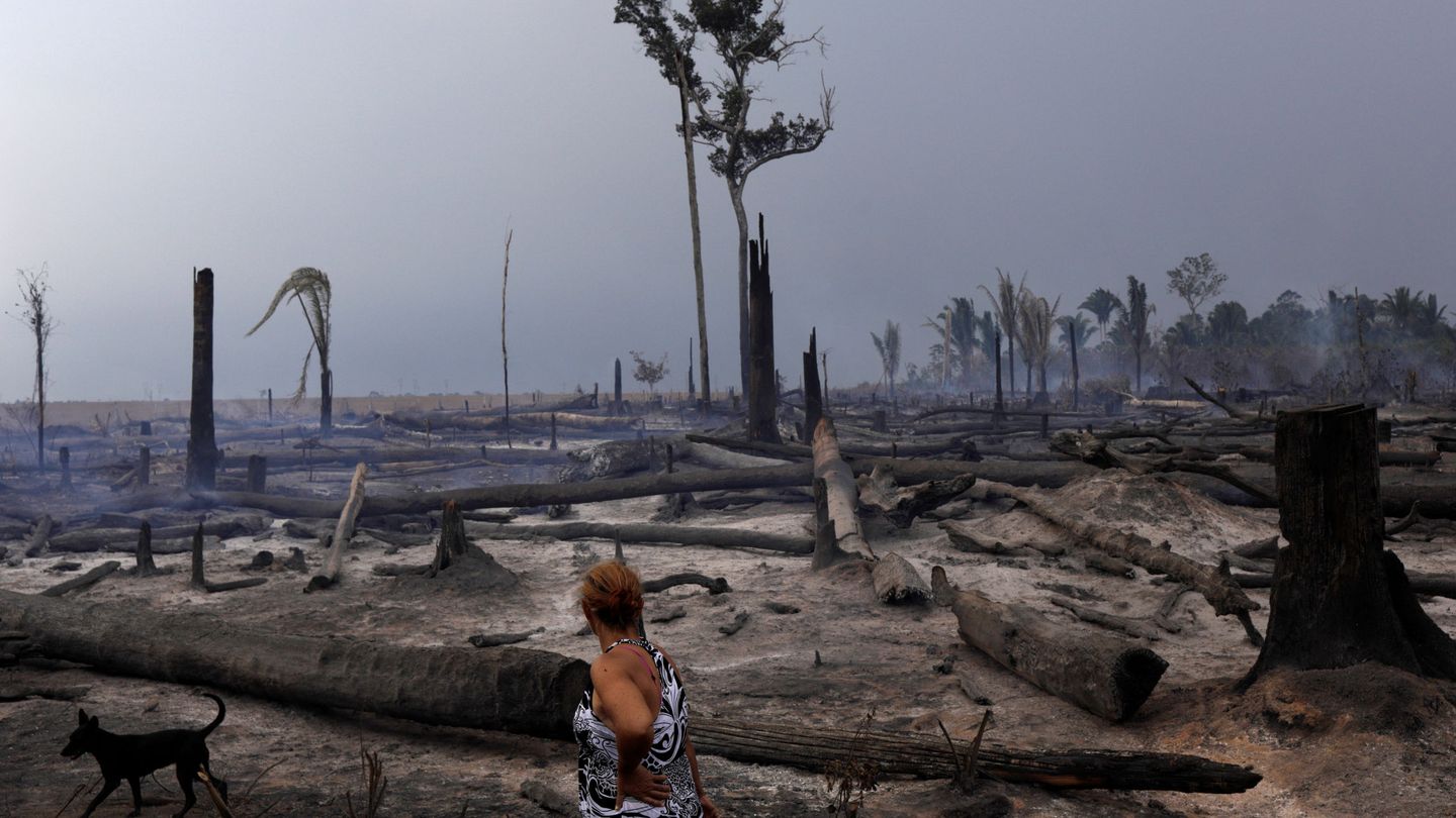 Una de las zonas del Amazonas quemada en 2019. (Reuters)
