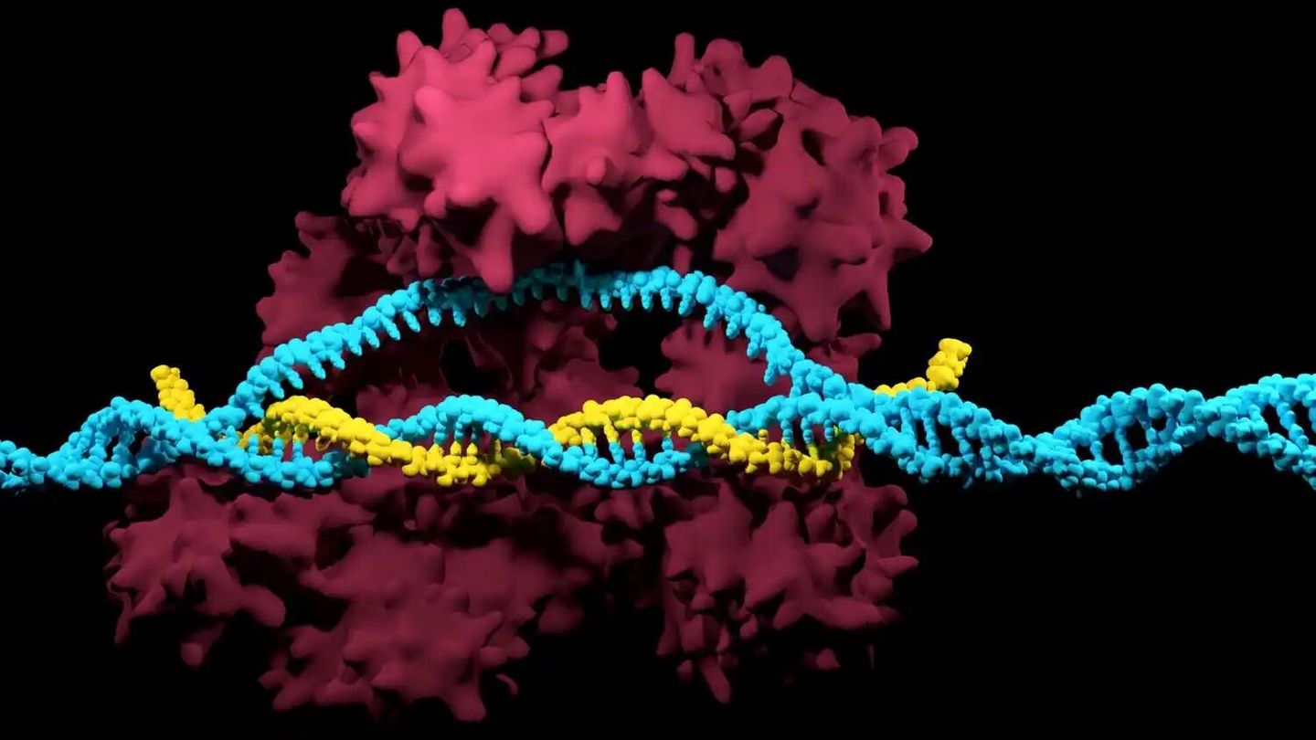 Model 3D de la edición CRISPR