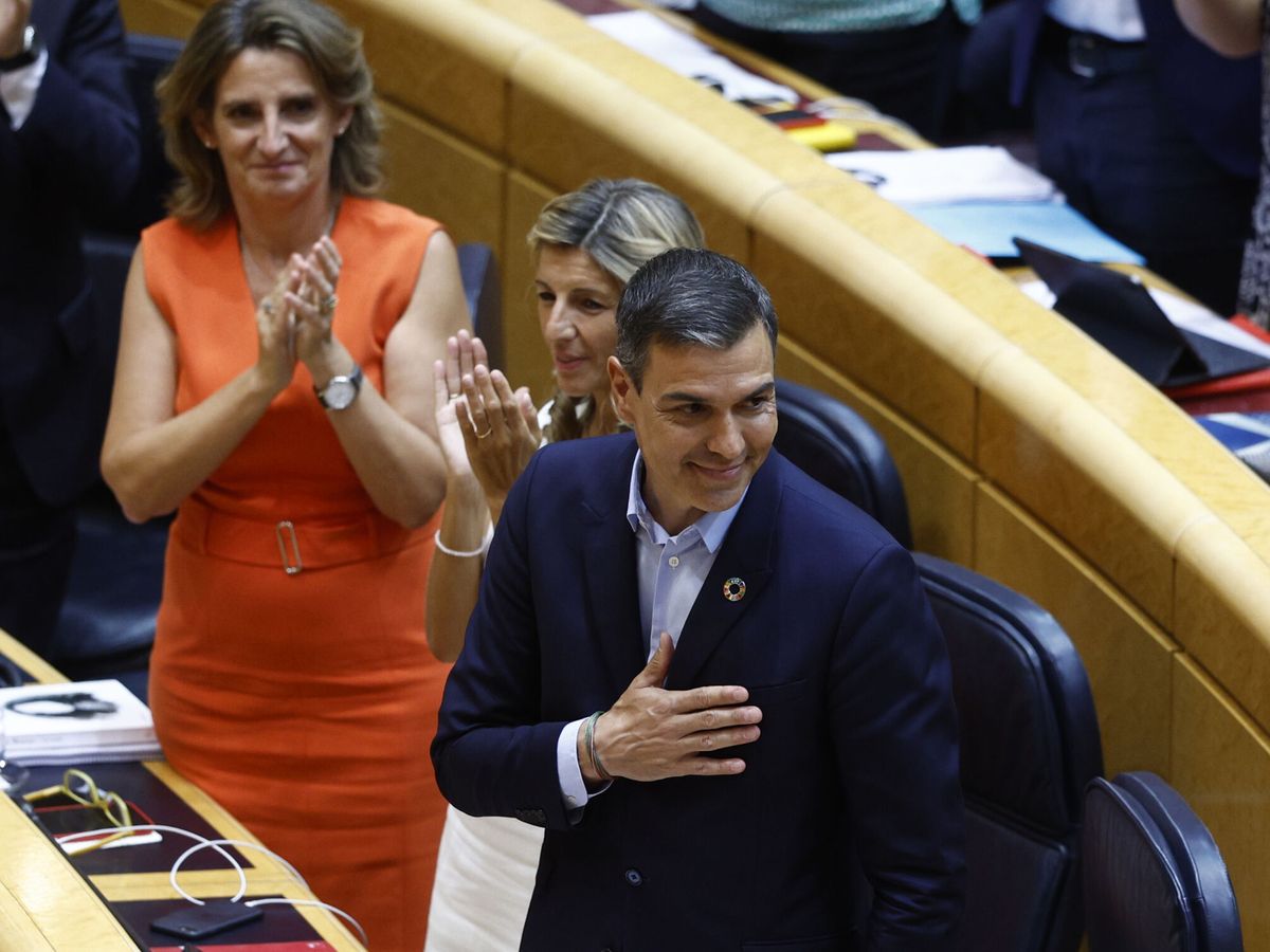 Foto: Sánchez, en el pleno del Senado del pasado lunes. (EFE/Rodrigo Jiménez)