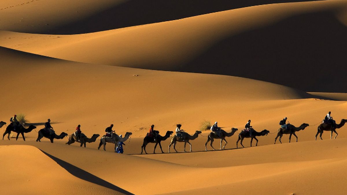 Explora el desierto a lomos de un camello gracias a Google Maps