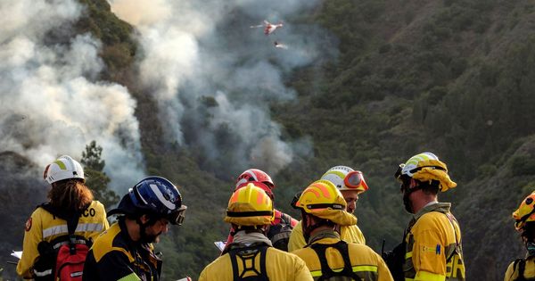 Foto: Bomberos trabajando en la extinción del fuego en Gran Canaria. (EFE)