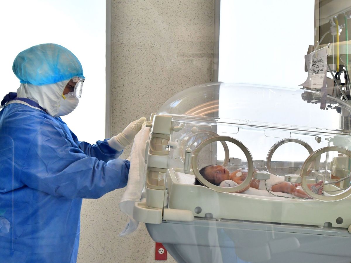 Foto: Bebé en incubadora. (EFE/Jorge Núñez)