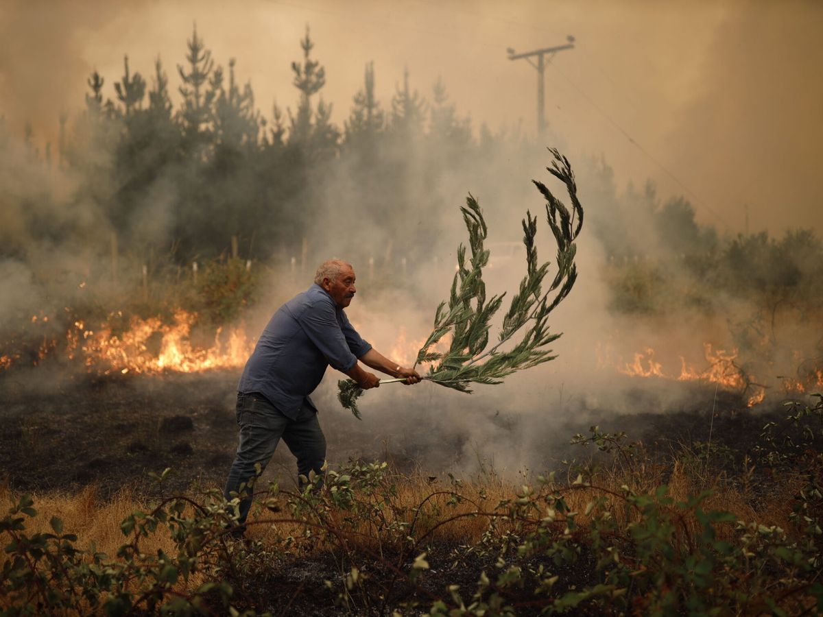 Foto: Un hombre trabaja en apagar un incendio en Santa Juana, en Chile. (EFE/Felipe Figueroa)