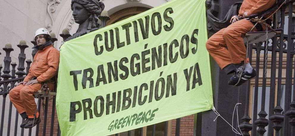 Greenpeace se manifiesta contra los transgénicos. (Efe)