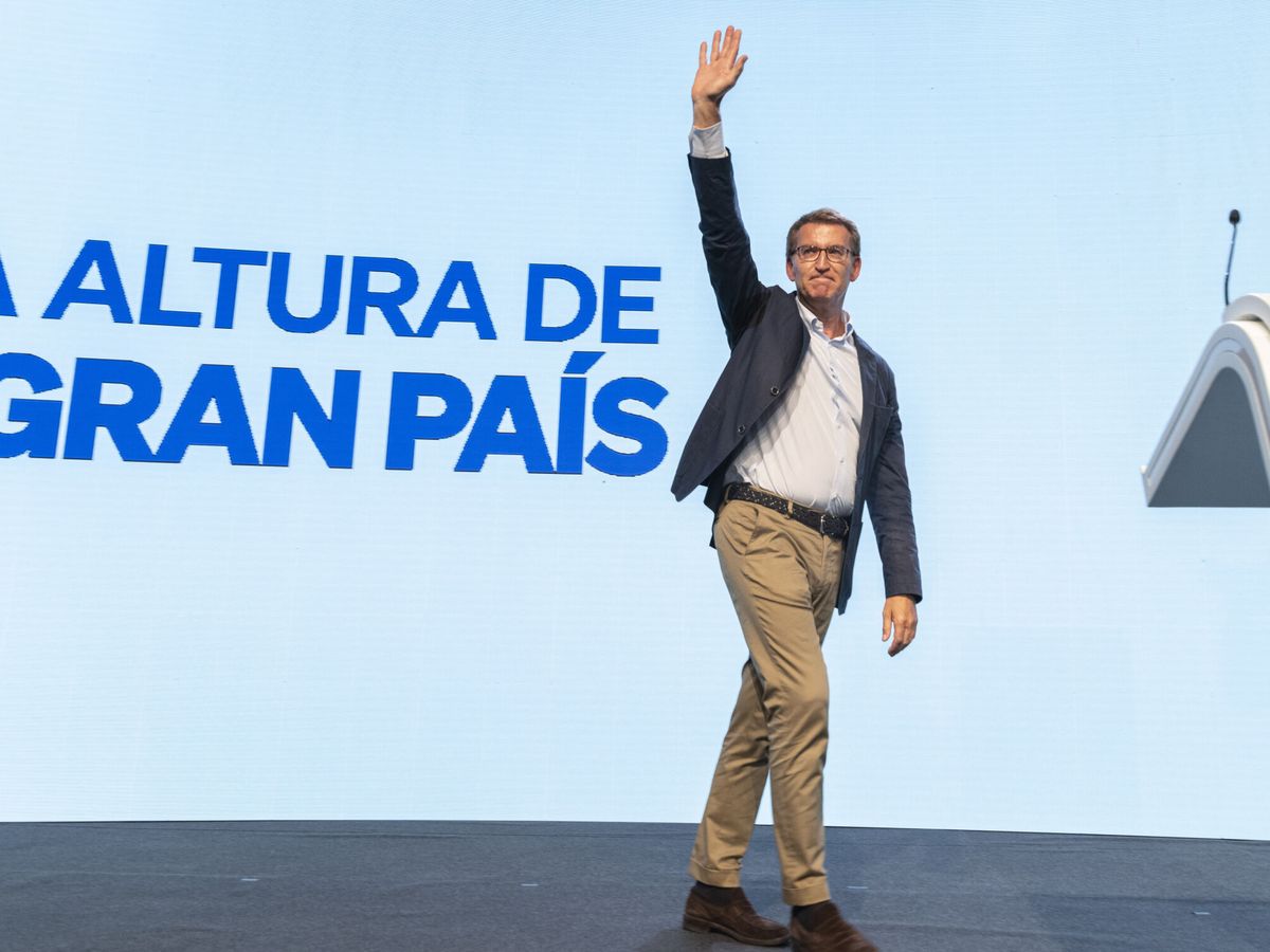 Foto: El líder del PP, Alberto Núñez Feijóo. (EFE/Ismael Herrero)