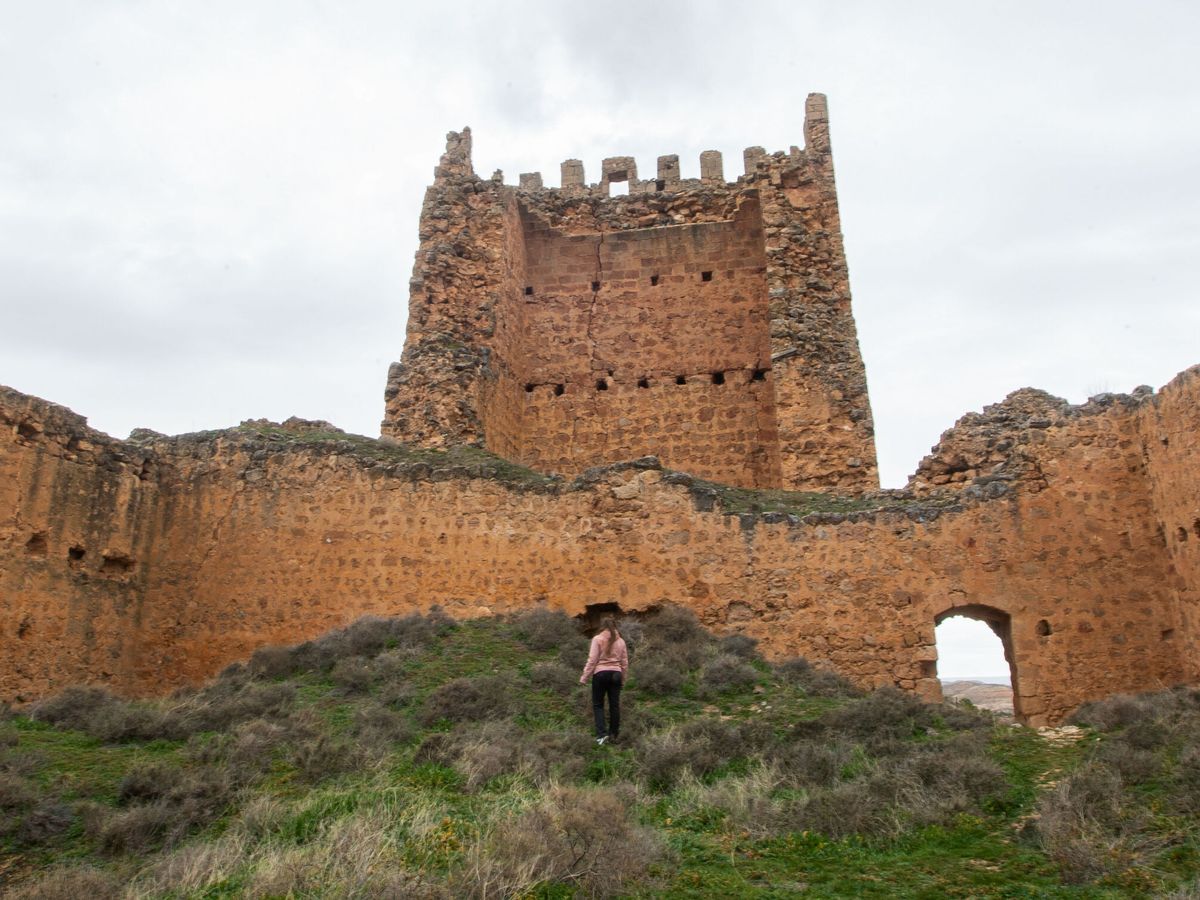 Foto: Una inmobiliaria pone a la venta las ruinas de un histórico castillo en provincia de Soria. (EFE/Wifredo García Álvaro)