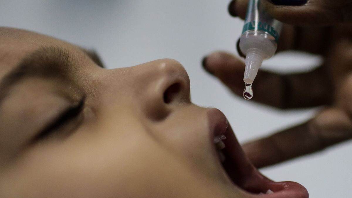 La OMS confirma que el virus de la polio ha sido erradicado en la mayoría de África 