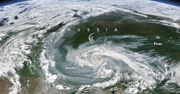 Foto: Vista de los incendios forestales en Rusia (NASA Earth Observatory)
