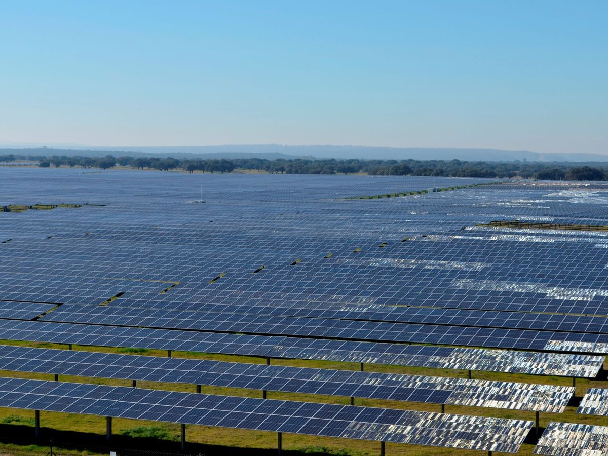 Foto: Planta solar fotovoltaica. (EFE/Eduardo Palomo)