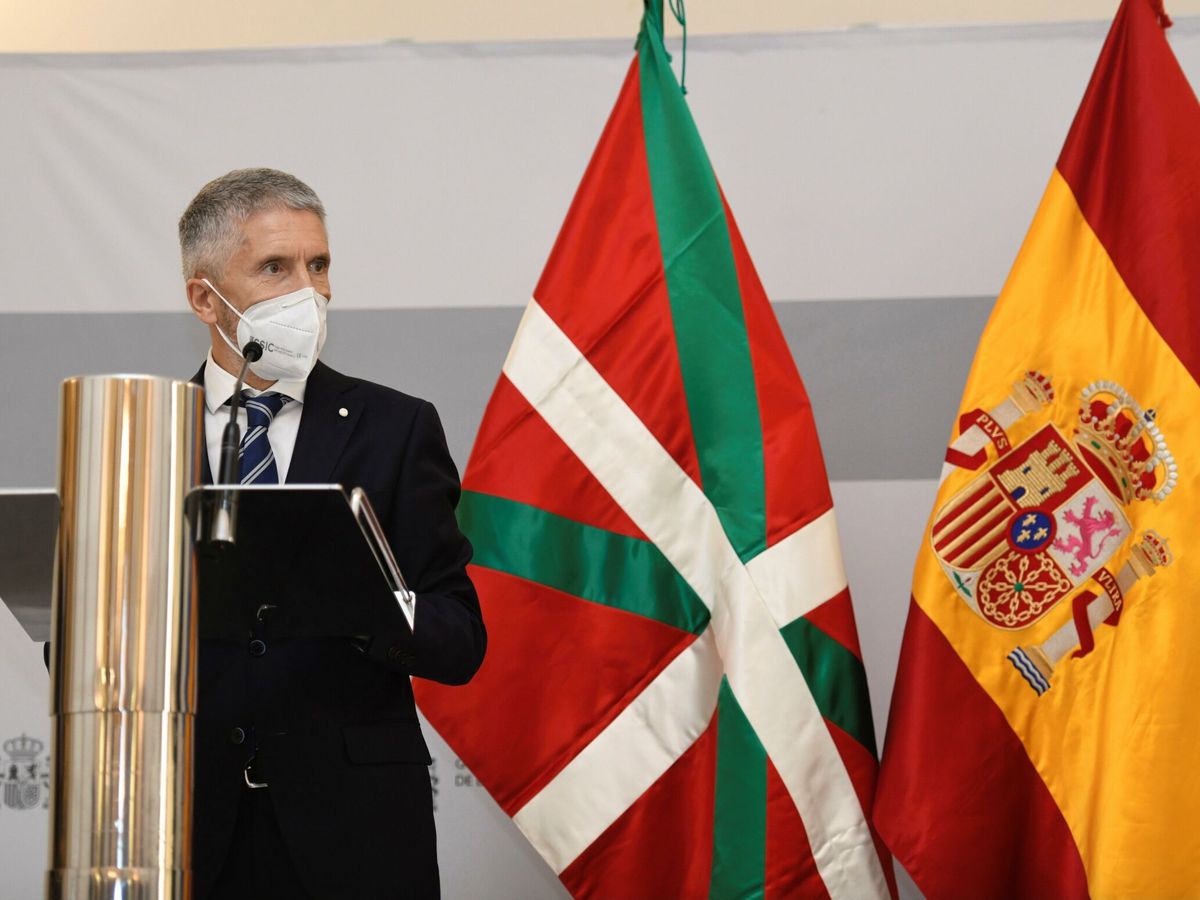 Foto: El ministro del Interior, Fernando Grande-Marlaska, en rueda de prensa tras su reunión con el vicelehendakari. (EFE)