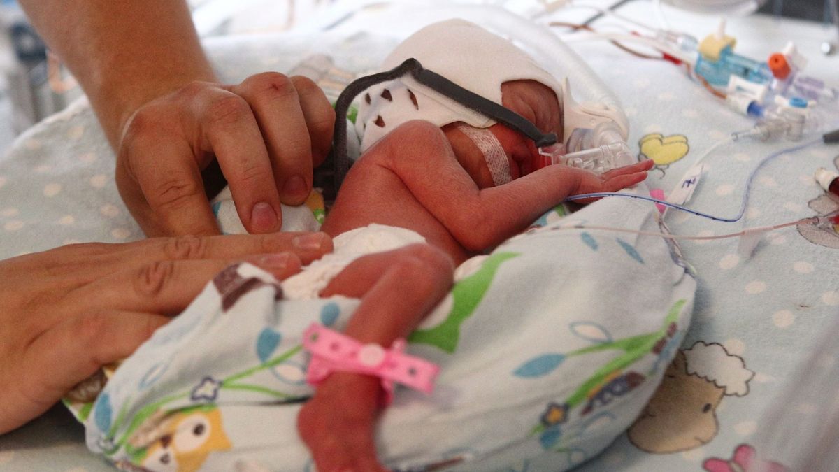 Los bebés nacidos mediante embrión congelado, con más riesgo de cáncer infantil