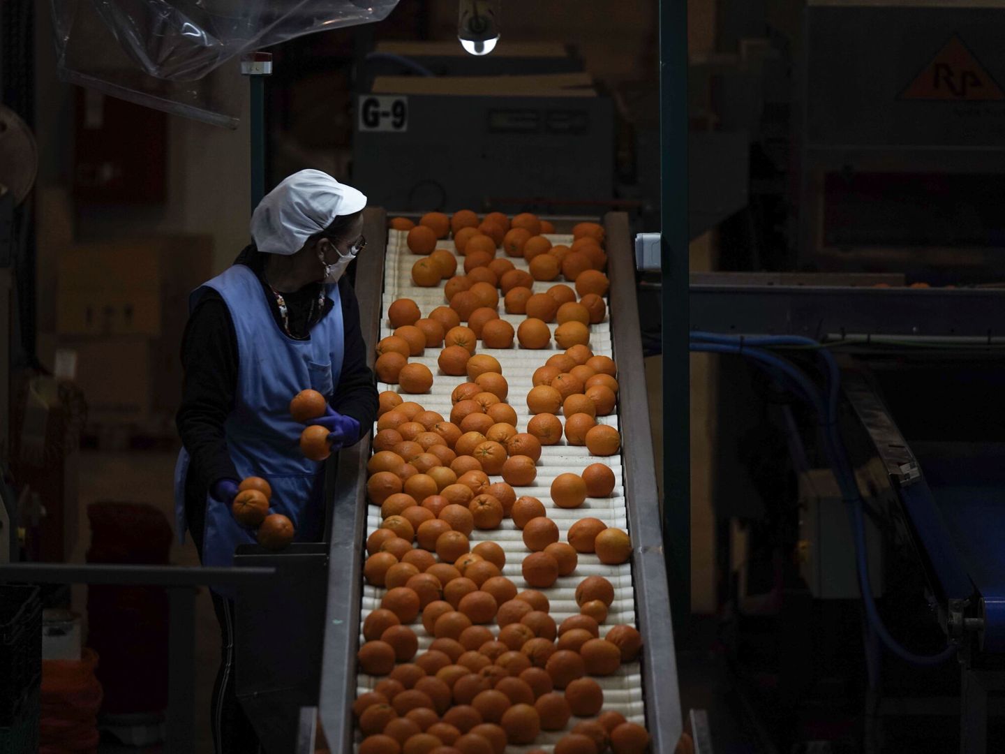 Una fábrica con naranjas. (EFE/Rafa Alcaide)