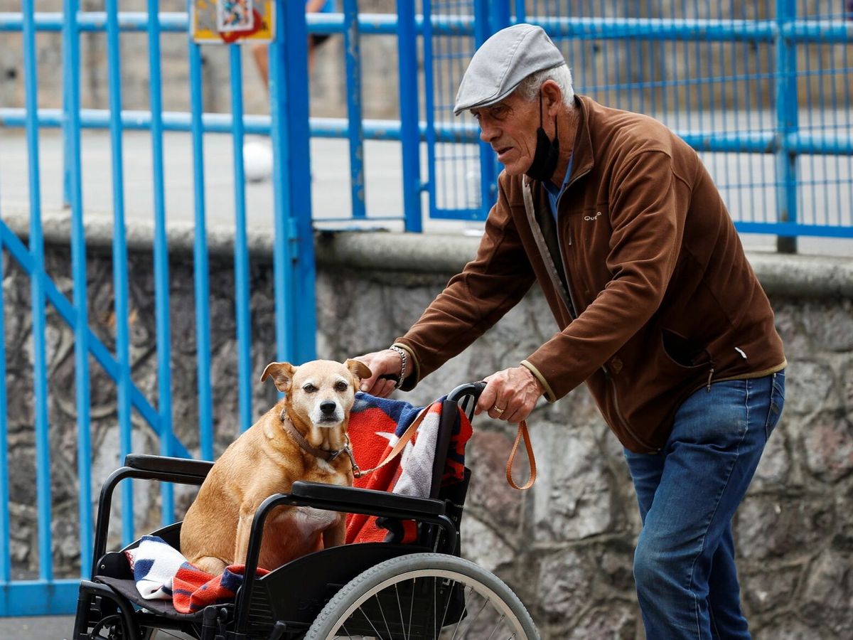 Foto: Un hombre pasea a su perro en San Sebastián. (EFE/Javier Etxezarreta)