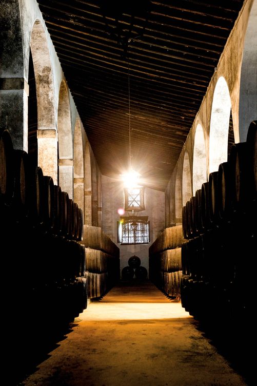La casa de Tío Pepe es un impresionante complejo enoturístico situado en pleno centro de Jerez de la Frontera. En su gama de vinos, lucen los generosos con una edad superior a los 30 años.