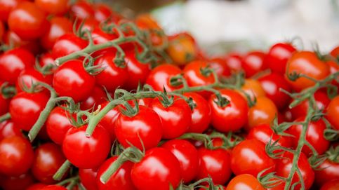 Los tomates cherry no son solo para ensalada. Te sorprenderán