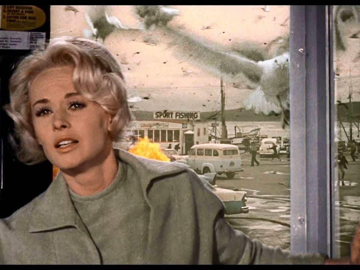 Foto: Fotograma de 'Los pájaros' de Alfred Hitchcock. (1963)