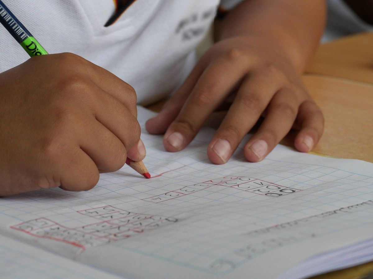 Foto: Un niño hace sus deberes escolares. (Pixabay)