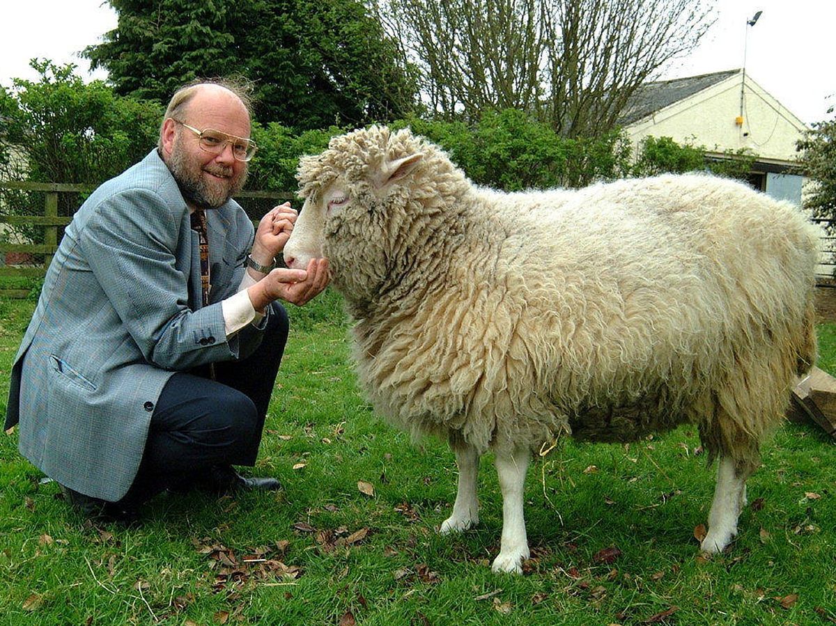 Foto: La oveja Dolly junto a su creador, Ian Wilmut (EFE)