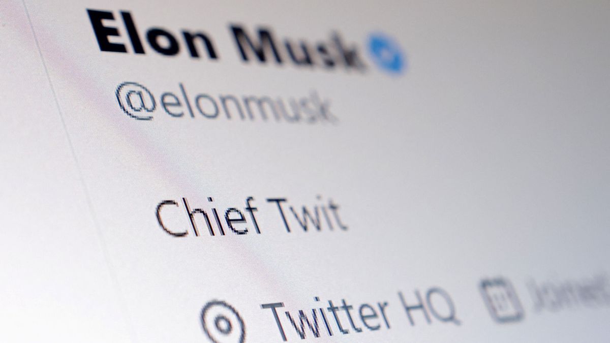 Musk sugiere un Twitter prémium con precios adaptados según los países