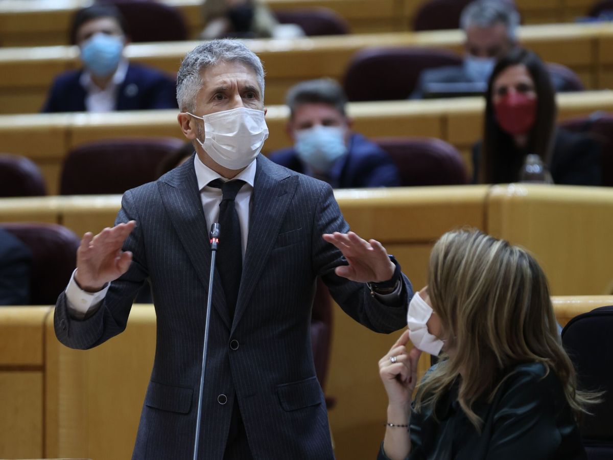Foto: Fernando Grande-Marlaska, en el Senado. (EFE)