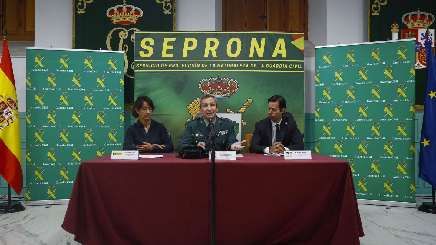Rueda de prensa conjunta de la Guardia Civil, el Mapama y Europol en septiembre pasado tras la operación Tarantelo. (EFE)