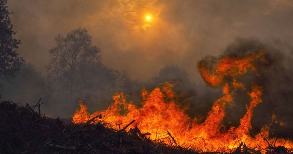 Foto: Incendios en Galicia (EFE)