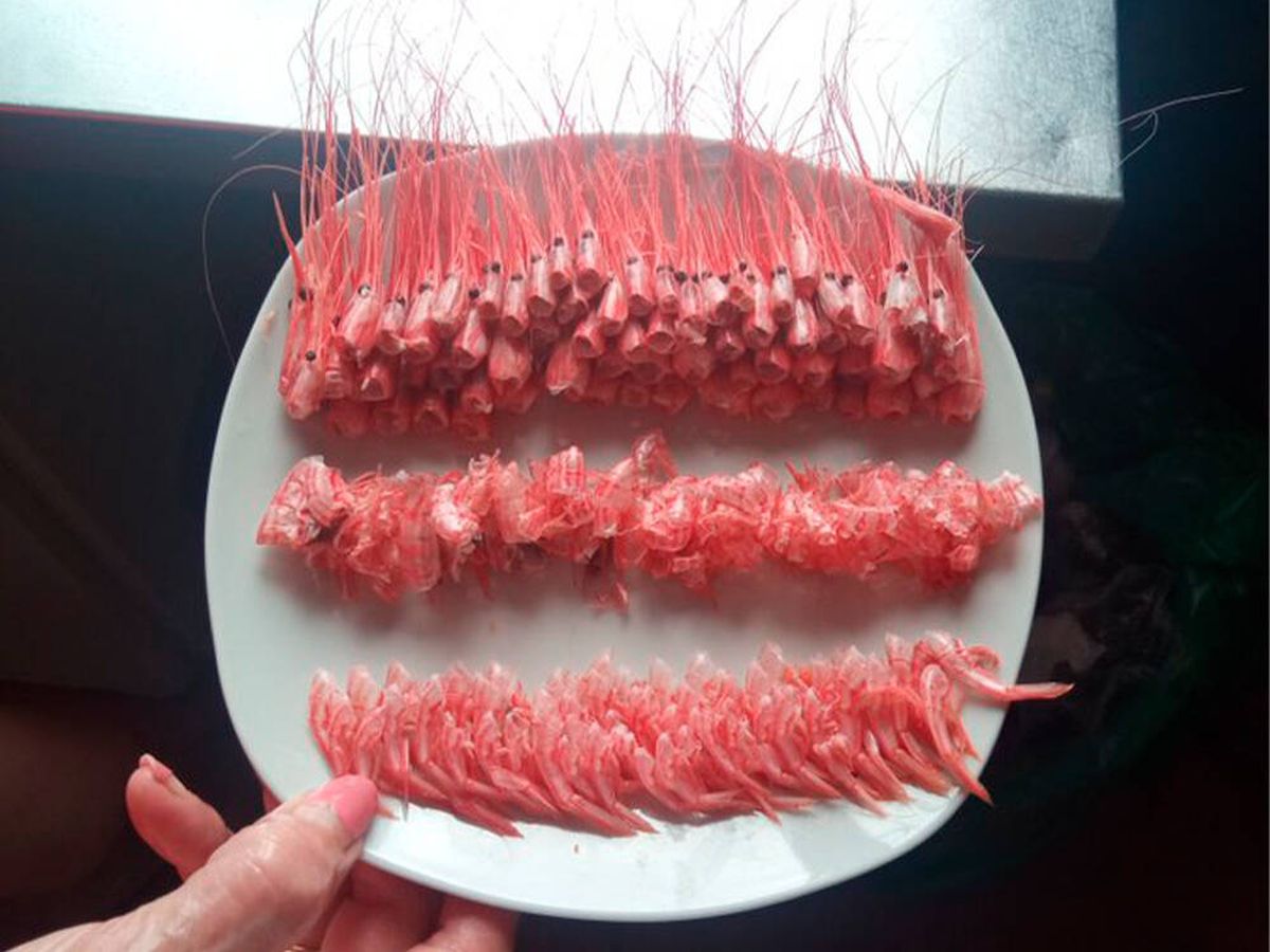 Foto: La increíble forma en la que una clienta devuelve un plato de camarones se hace viral (Twitter @Antydrogas)