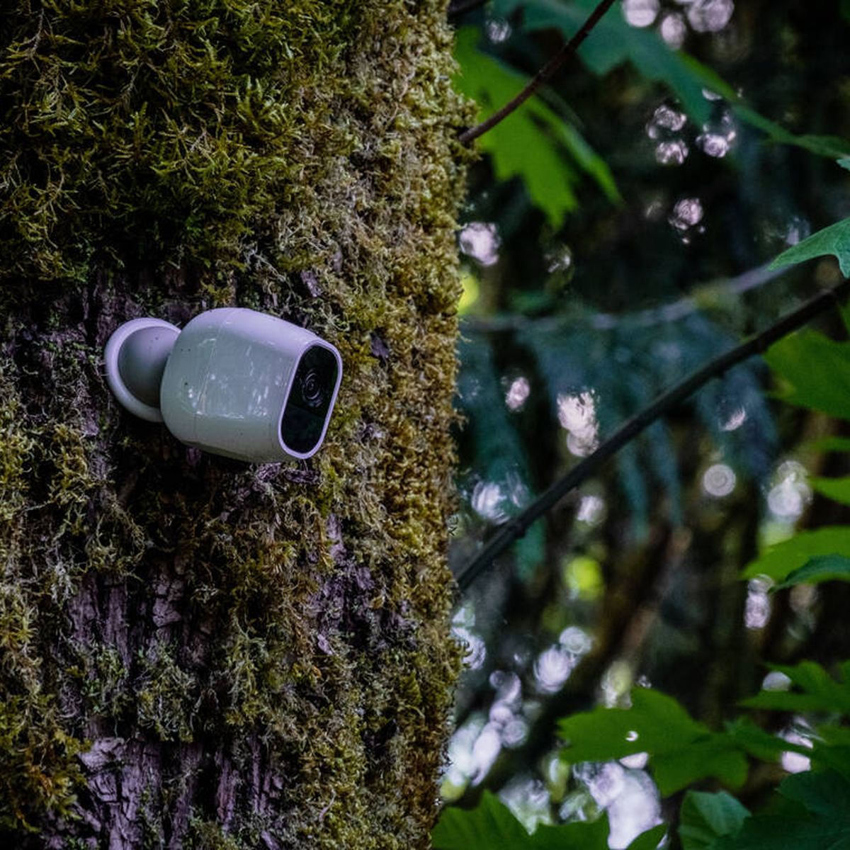 La mejor cámara de vigilancia sin cables: ¿Cuál comprar? Consejos