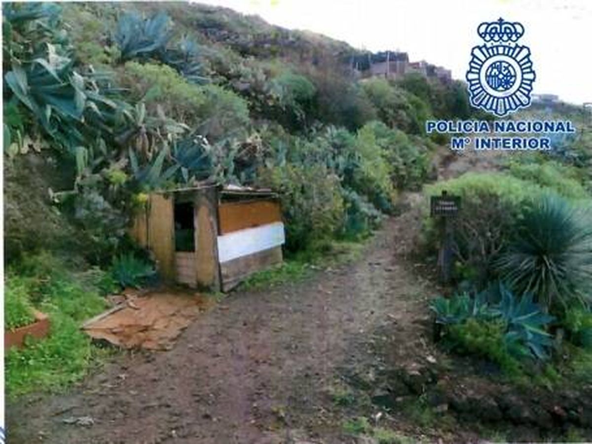 Foto: Detenidos dos jóvenes en Tenerife por simular un secuestro para cobrar una deuda de drogas. (Policía Nacional)