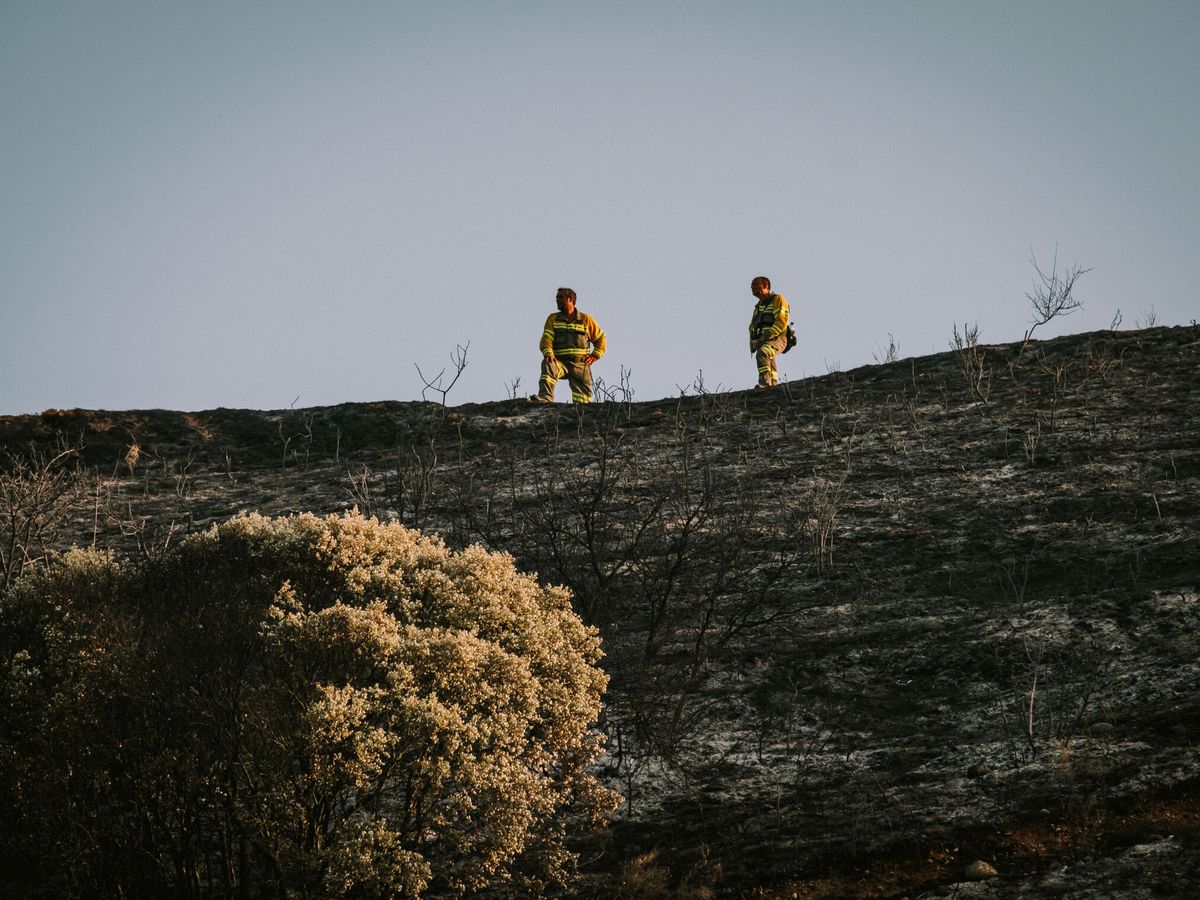 Foto: Servicios de extinción en el incendio de Fuenmayor, entre Álava y La Rioja. (EFE)
