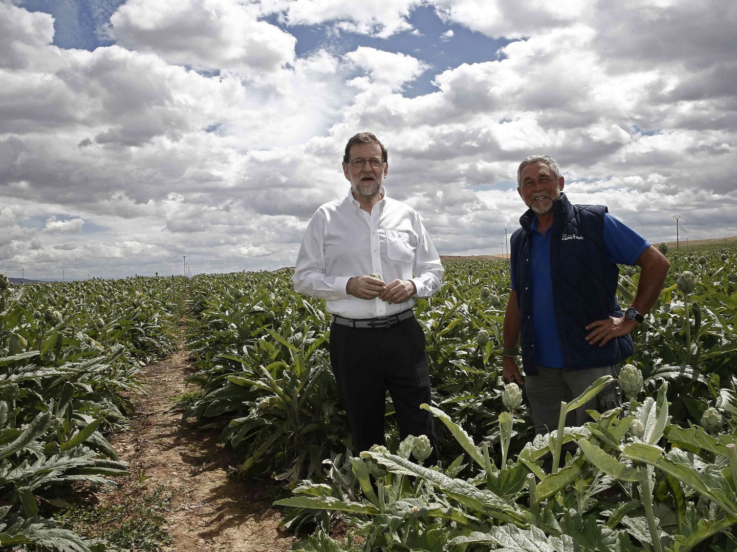 Mariano Rajoy, en el campo de alcachofas de Navarra. (EFE)