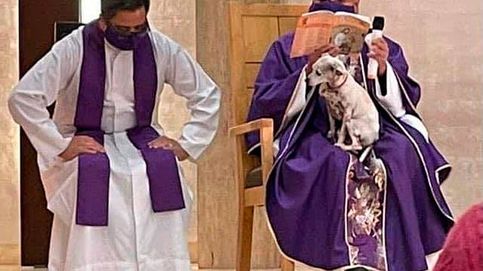 Un cura da la misa con su perra en brazos porque está enferma
