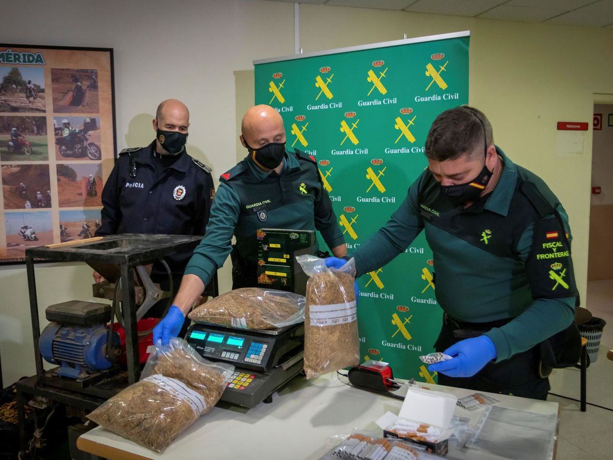 Foto: Agentes de la Guardia Civil con 53 toneladas de hojas de tabaco incautado (EFE)