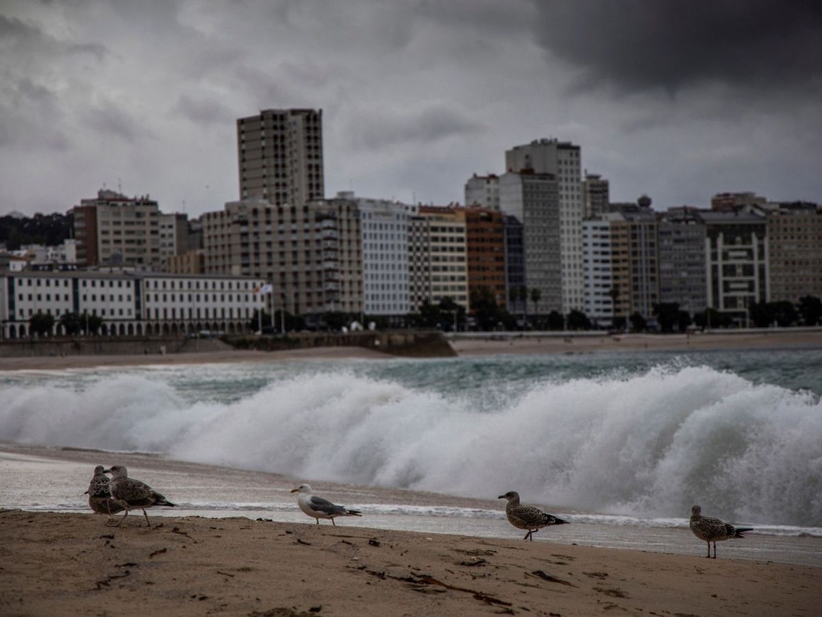Foto: La AEMET avisa de la borrasca 'Patricia' en España: "un pasillo de vientos fríos provocará un acusado descenso térmico" (EFE/Óscar Corral)