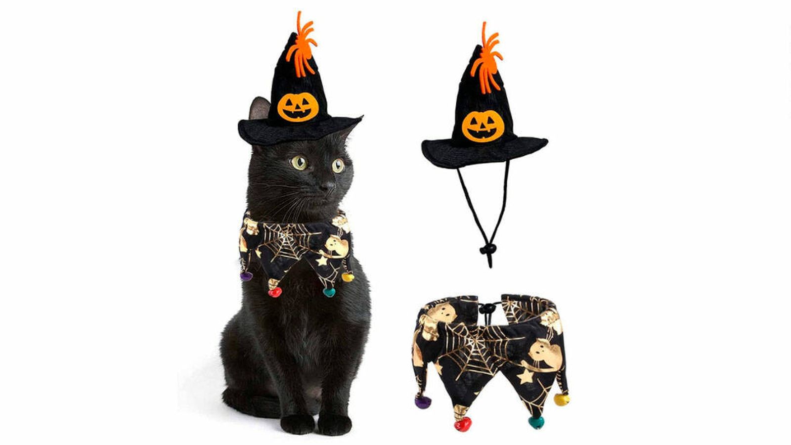 Los mejores disfraces de Halloween para tu mascota