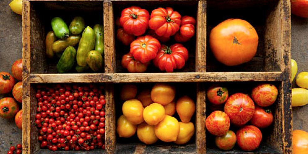 Foto: Por qué los tomates ya no saben a nada