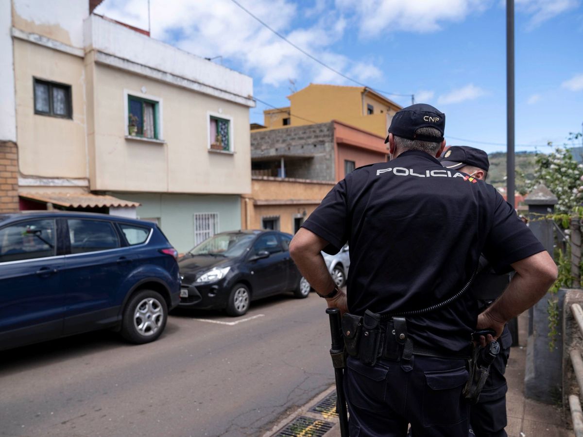 Foto: Agentes de la Policía Nacional en Tenerife. (EFE/ Miguel Barreto)