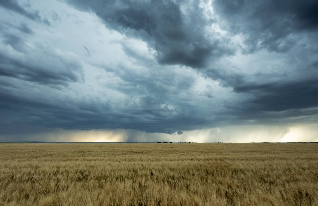 Las lluvias, si son torrenciales, no son tan efectivas para la agricultura. (iStock)