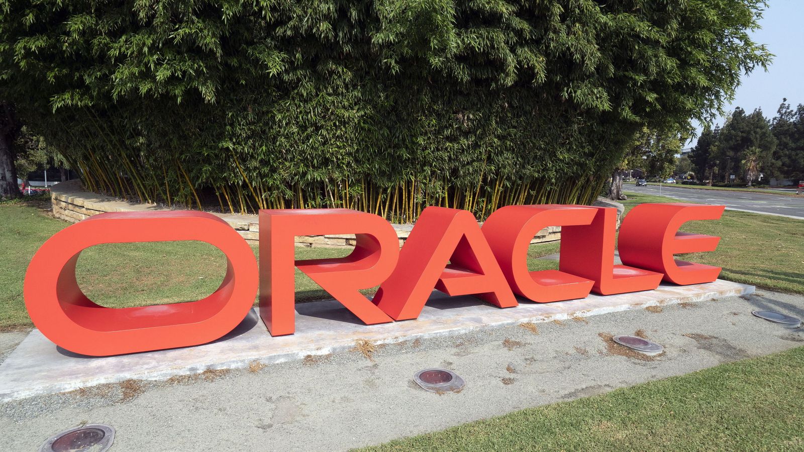 Larry Ellison (Oracle) supera a Elon Musk (Tesla) como el hombre más ...