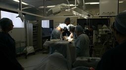 Piezas de repuesto naturales o artificiales: qué órganos podemos sustituir y cuáles siguen dependiendo de un trasplante